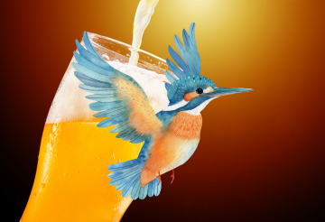 kingfisher beer